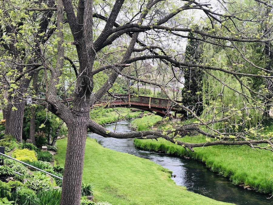 On the road through the state of Wisconsin, it is imposible no to wander through little sleepy towns, full of lovely creeks, trees and everything green during spring and summer. #Nature Photo Contest