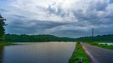 The green fields filled by the monsoon rains.