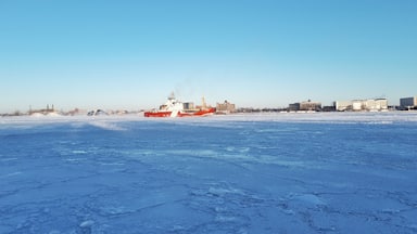 Frozen Detroit river 