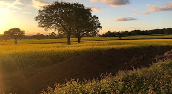 Sun setting in May 2018 in Meriden, traditionally known as the center of England 
