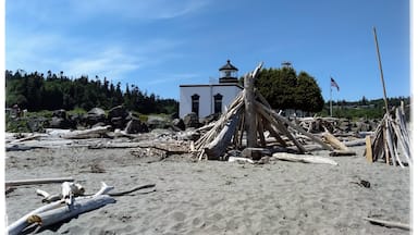 Awesome beach in the Puget Sound area on a sunny day. Great views, and with a bit of luck, dolphins, eagles and other wildlife to boot! #lifeatexpedia