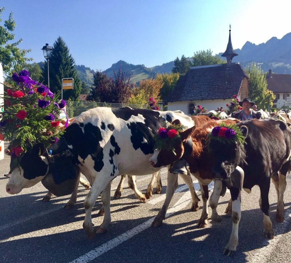 Visit Charmey: 2024 Travel Guide for Charmey, Canton of Fribourg