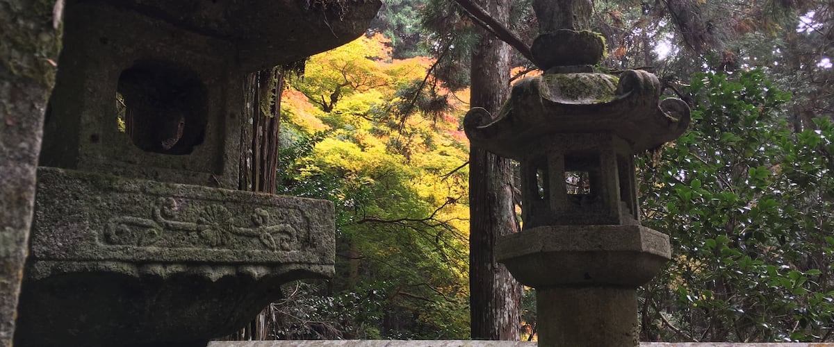 The old stone lantern and autumn leaves that can be seen in the back.
Things that have stopped and trees that keep living for a long time.