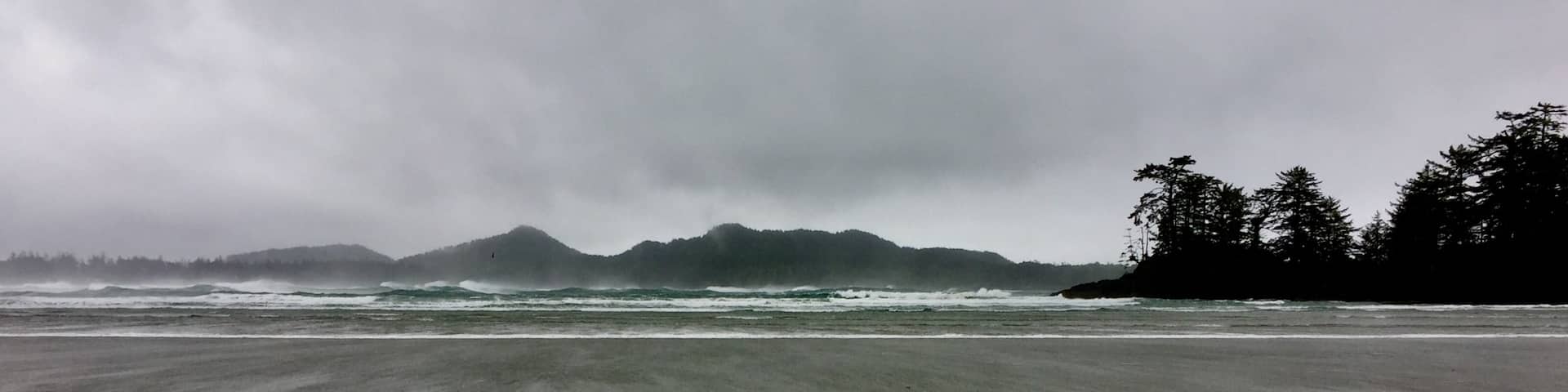 The crash of the waves and the power of nature is something to behold in Tofino, BC