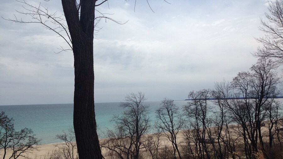 The grayish shades of blue and the vast Lake Michigan.