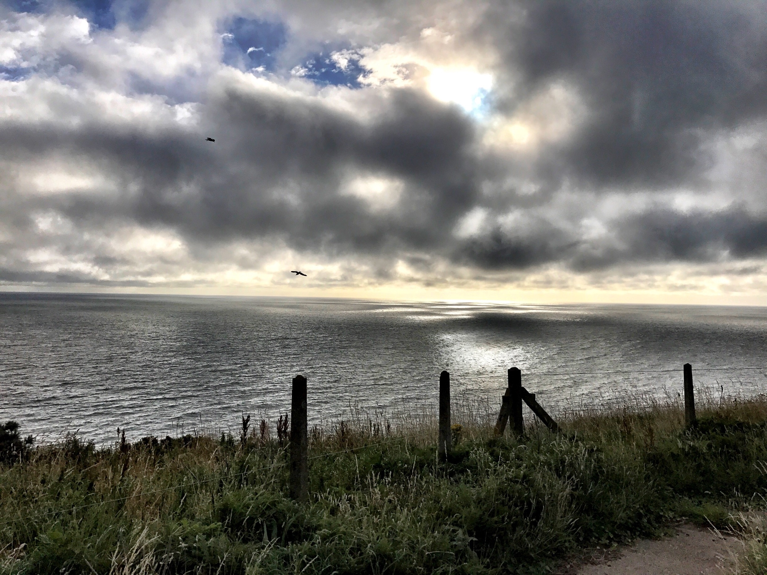 Visit Whitehaven 2022 Travel Guide for Whitehaven, England Expedia