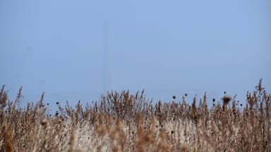 The ghost lighthouse