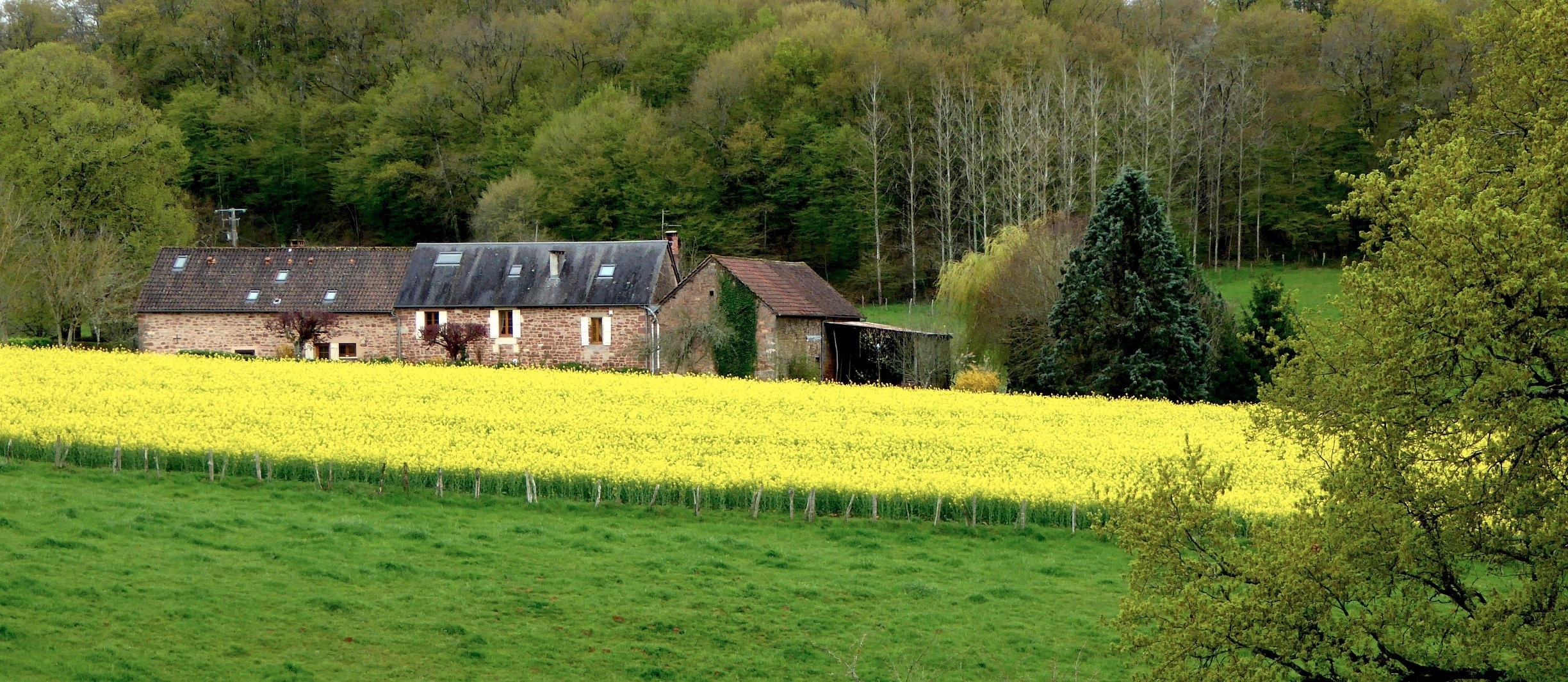 Badefols-d'Ans, Dordogne, Frankreich