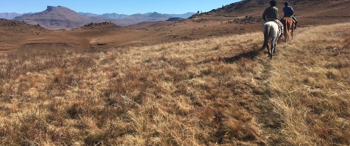Go for a one hour, two hour, or three hour ride in the Drakensberg Mountains on lovely little Basuto ponies. It’s the best way to immerse yourself in the amazing scenery!