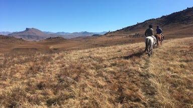Go for a one hour, two hour, or three hour ride in the Drakensberg Mountains on lovely little Basuto ponies. It’s the best way to immerse yourself in the amazing scenery!