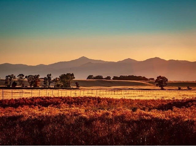 Evening Light. Millville California.  Looking west over the Millville Plains. 
#golden