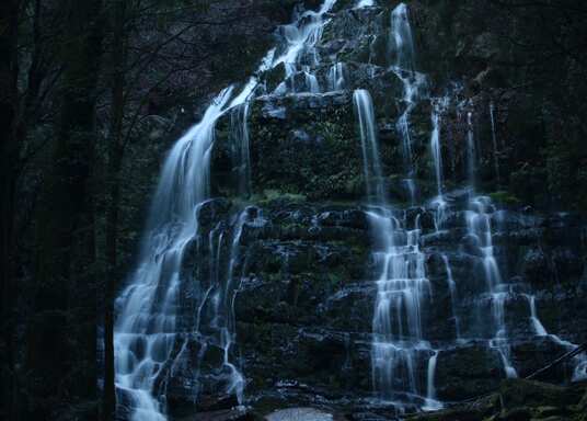 Mount Field, Tasmanien, Australien