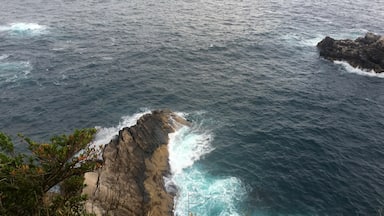 Capable of going immediately from Shikoku hallowed ground No. 38 No. Fudasho, is Cape southwest of Shikoku. This sea is Pacific Ocean,
If multi-you fall, you die.
However, it is very beautiful place. Unfortunately when I arrived in the evening, I was a little cloudy.
Here is also famous for the typhoon to frequently pass. When it is approaching the Japanese TV station will relay the status of the waves and wind and rain from here.