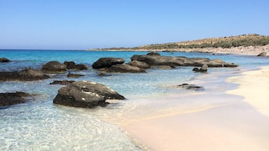 The completely secluded Kedrodasos Beach, Crete. Crystal clear water, white sand, fig trees and absolutely no people the entire day. Perfect. Far quieter and untouched than Elafonissi beach a few miles away. 