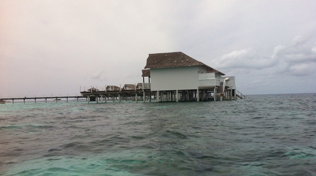 Machchafushi, Güney Ari Mercan Adası, Maldivler