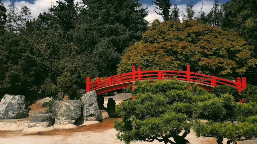 Great place for a family walk. Koi fish, hummingbirds, a lot of greenies and nice spots to take pictures. Suitable location for outdoor professional photography