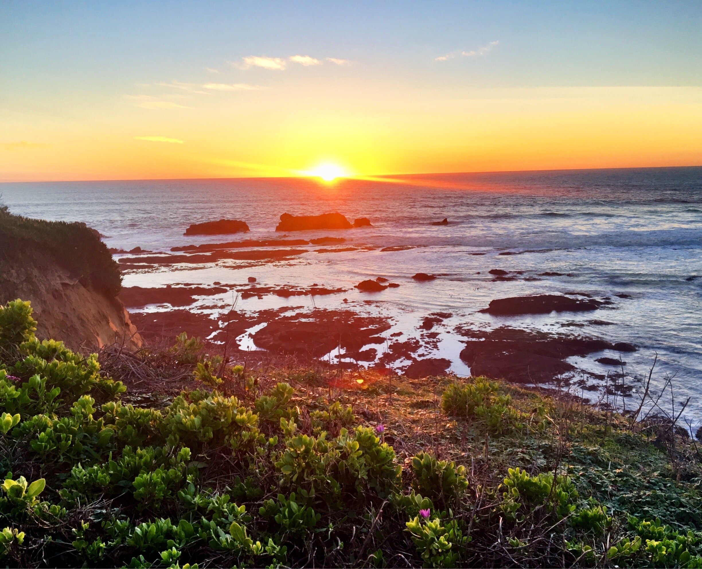 拍摄者： Meredith Kay