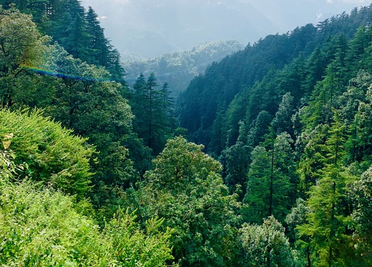 Mussoorie, India