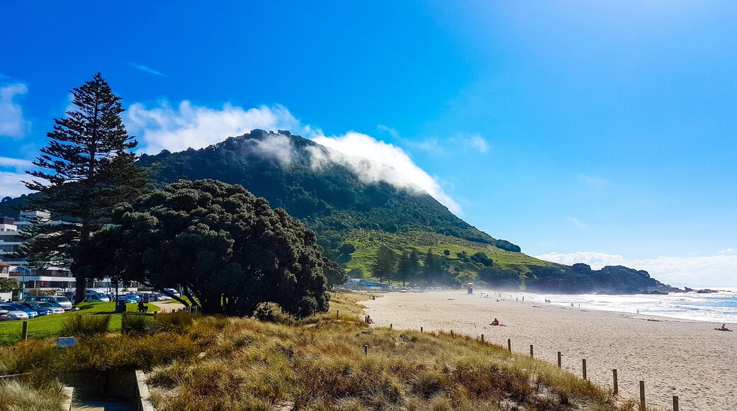 Mount Maunganui Beach, Tauranga, Bay of Plenty Region, New Zealand