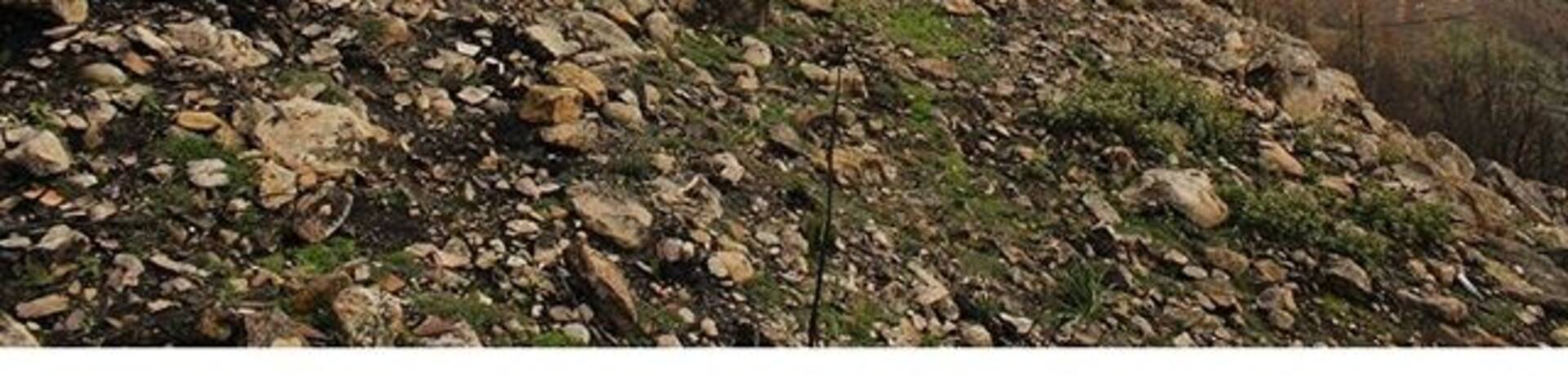 A Serra da Atalhada situa-se na freguesia de Friumes, concelho de Penacova. No cimo da serra, podemos ver os Moinhos de Vento, hoje sem uso, mas que em tempos, permitiam moer o cereal das populações mais próximas.