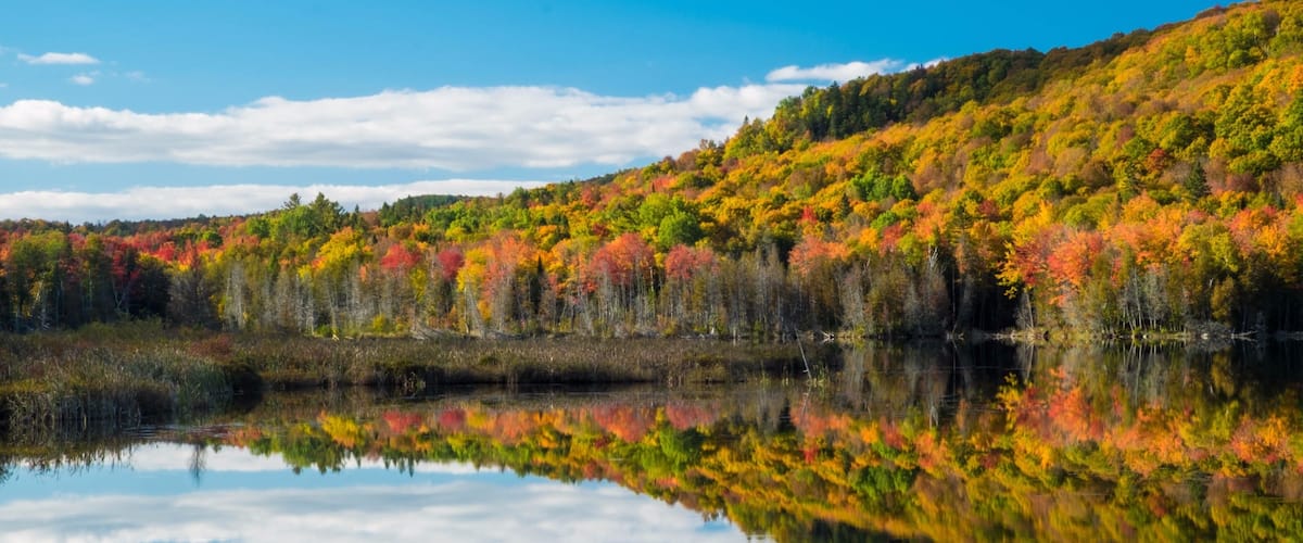 Great foliage opportunities along Route 5 from Hanover NH to Quebec City Canada.
This late afternoon shot on Oct 5.