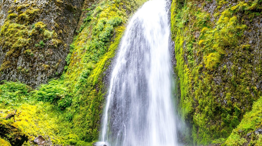 Wahkeena Falls, Corbett, Oregon, United States of America