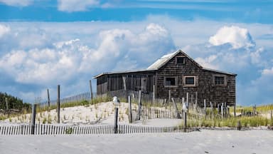 The Judge's Shack is located in Island Beach State Park (IBSP) - New Jersey. IBSP is a beach preserve filled with rolling sand dunes and beautiful wildlife. This Shack was used as a summer vacation getaway for Judge Richard Hartshorne and his family since the 1940's. #Parks #beach #dunes