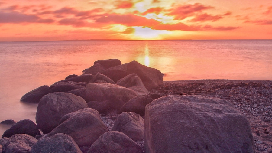 Moesgård Strand