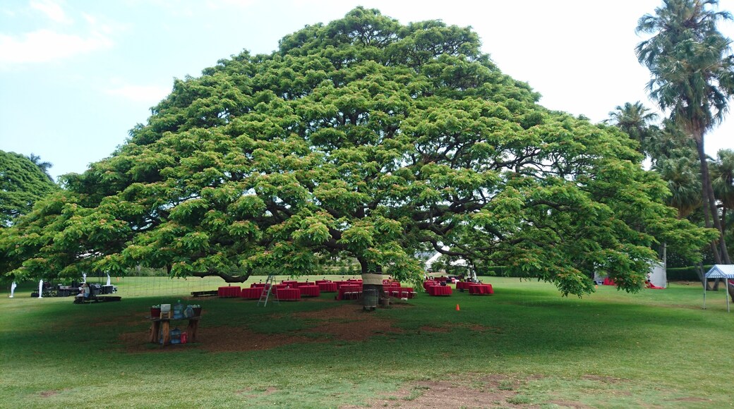 Moanalua Gardens, Honolulu, Hawaii, United States of America
