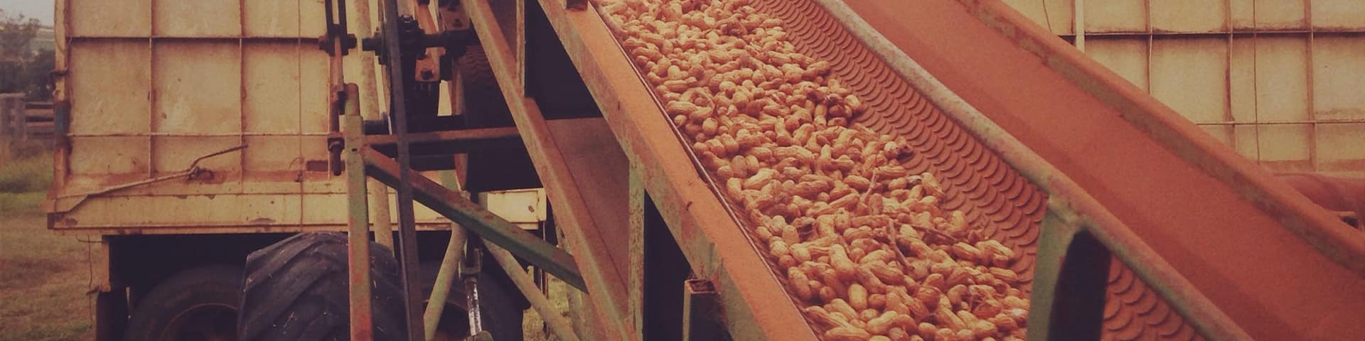 金格罗伊, 昆士兰州, 澳大利亚