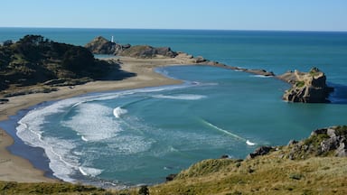 beautiful un-spoilt area at Castlepoint  in the Wairarapa 