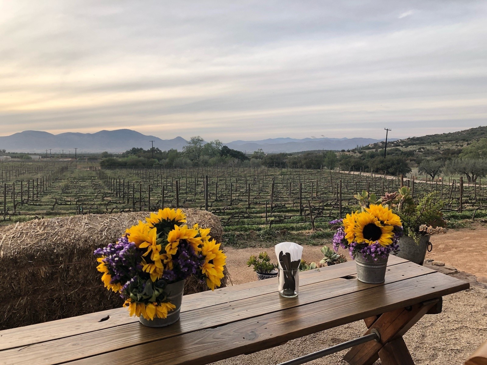 tours para valle de guadalupe