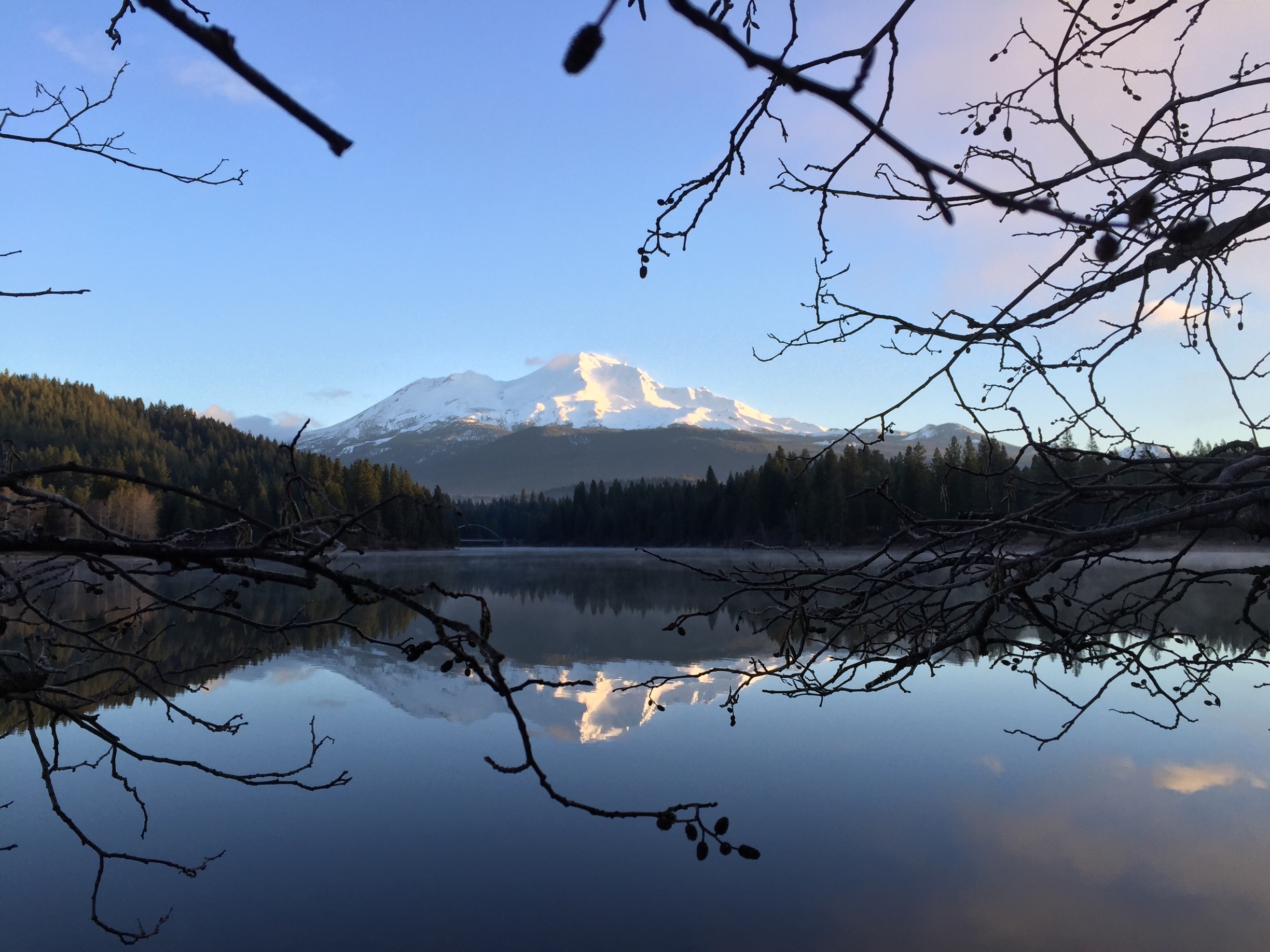 I stopped by Siskiyou lake for a beautiful reflection of Mt Shasta 
Photo taken iPhone 28 Dec 2014 