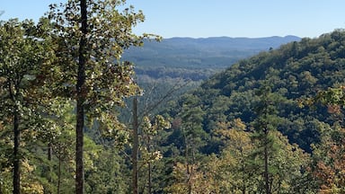This is a beautiful view from a trail called “Daniel” which you can hike, dirt bike ride, or 4 wheel ..Lots of camping, kayaking, fishing, biking.. beautiful forest. Great escape in nature!