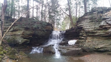 A view of the waters of Honey Run cascading down 25ft over the surrounding sandstone cliffs on its way to join the Kokosing River. 

There is a parking lot nearby and a short path to the falls. The are other hiking trails in the park that meander through the boreal habitat and along the blackhand sandstone banks of the river.