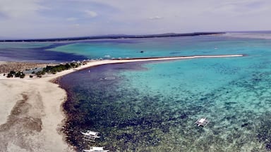 Sandbank near Bohol; the quiet stretch is private. Those who join day trip have to go to the crowded area :( 