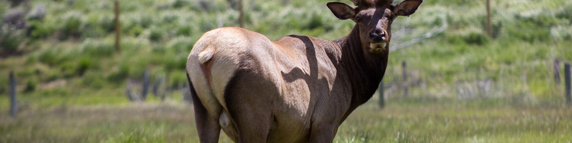 Evanston, Utah, United States of America