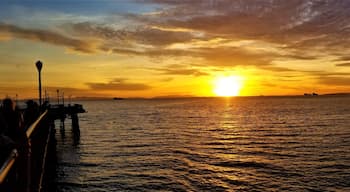 Such a great panoramic view of Seal Beach from the pier at sunset. Can you believe this was in December, just before Christmas? #Nature #LifeAtExpedia