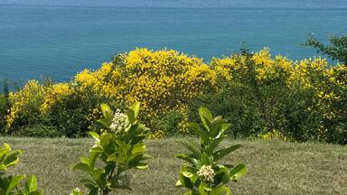 Along the green coast road nearby Gabicce Mare, The Marche, Italy