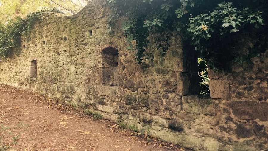 The ruins of Burg Drachenfels