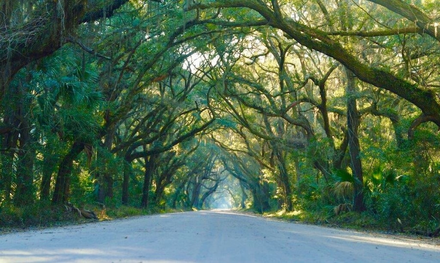 Recent vacation to Edisto Beach, SC