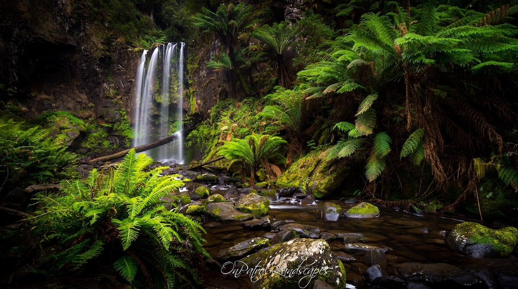 Hopetoun Falls, Beech Forest, Victoria, Australia