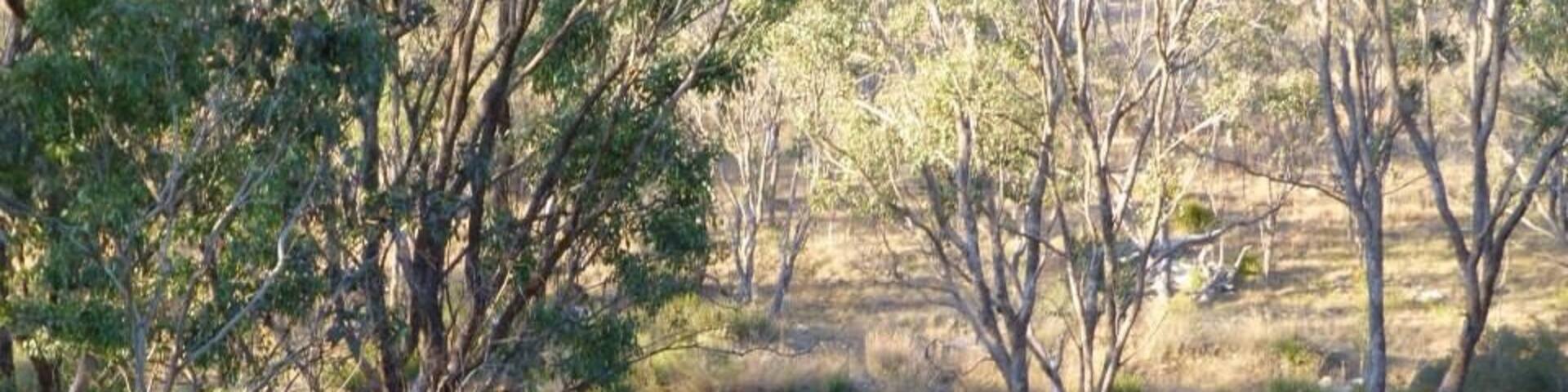 Glen Aplin, Queensland, Austrália