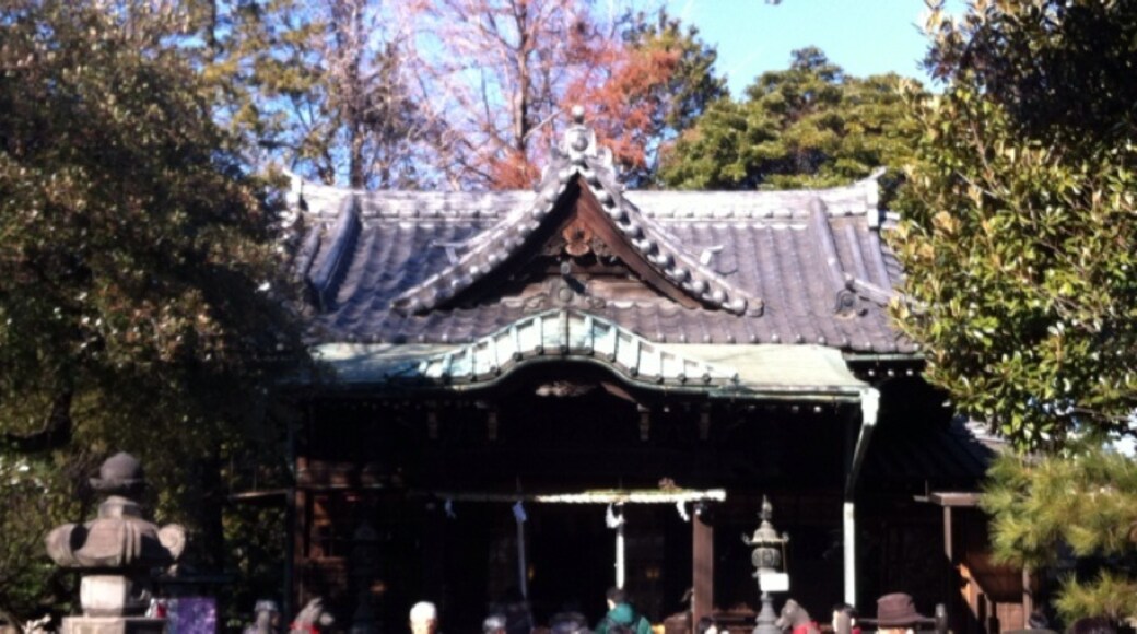 Mimeguri Shrine, Tokyo, Tokyo Prefecture, Japan