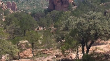 In 2014 was my first backpack travel when I finish the university, I take the option to visit de north of Mexico, a lot of people prefer visit the touristic south forget the nort. This photo is in the limits between Zacatecas and Durango