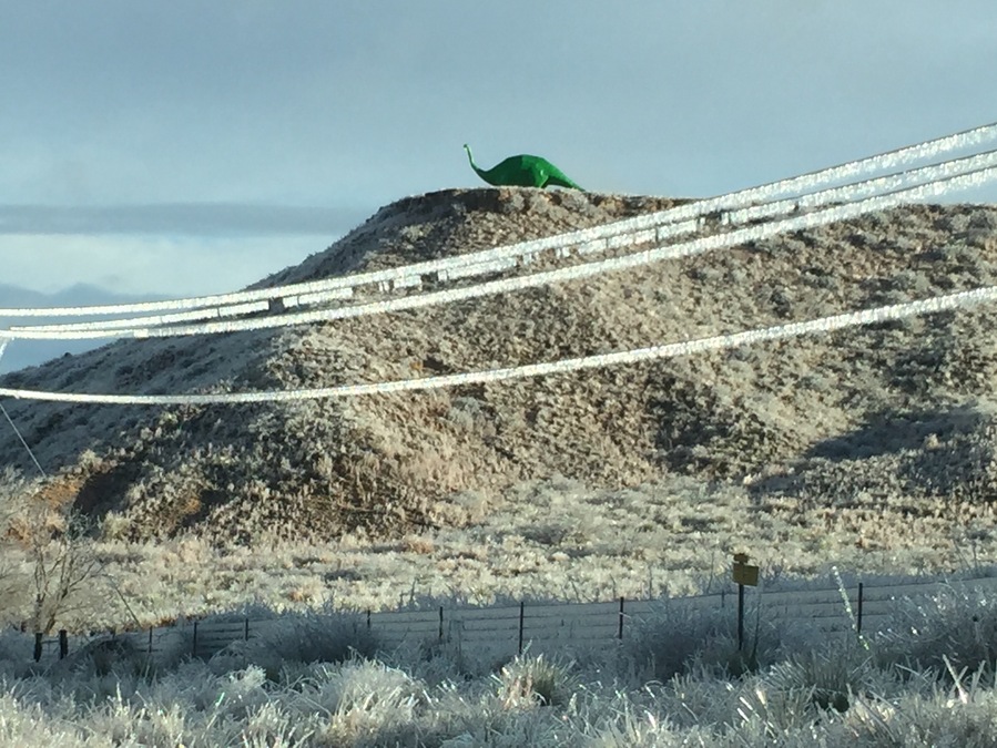Five miles south of Canadian, Texas, you will find "Aud", Gene Cockrell's Dinosaur, that he built and named after his wife Audrey. Fifty feet long, seventeen feet tall, and weighing a ton, you won't miss it, just look up on top of the bluff to the east.