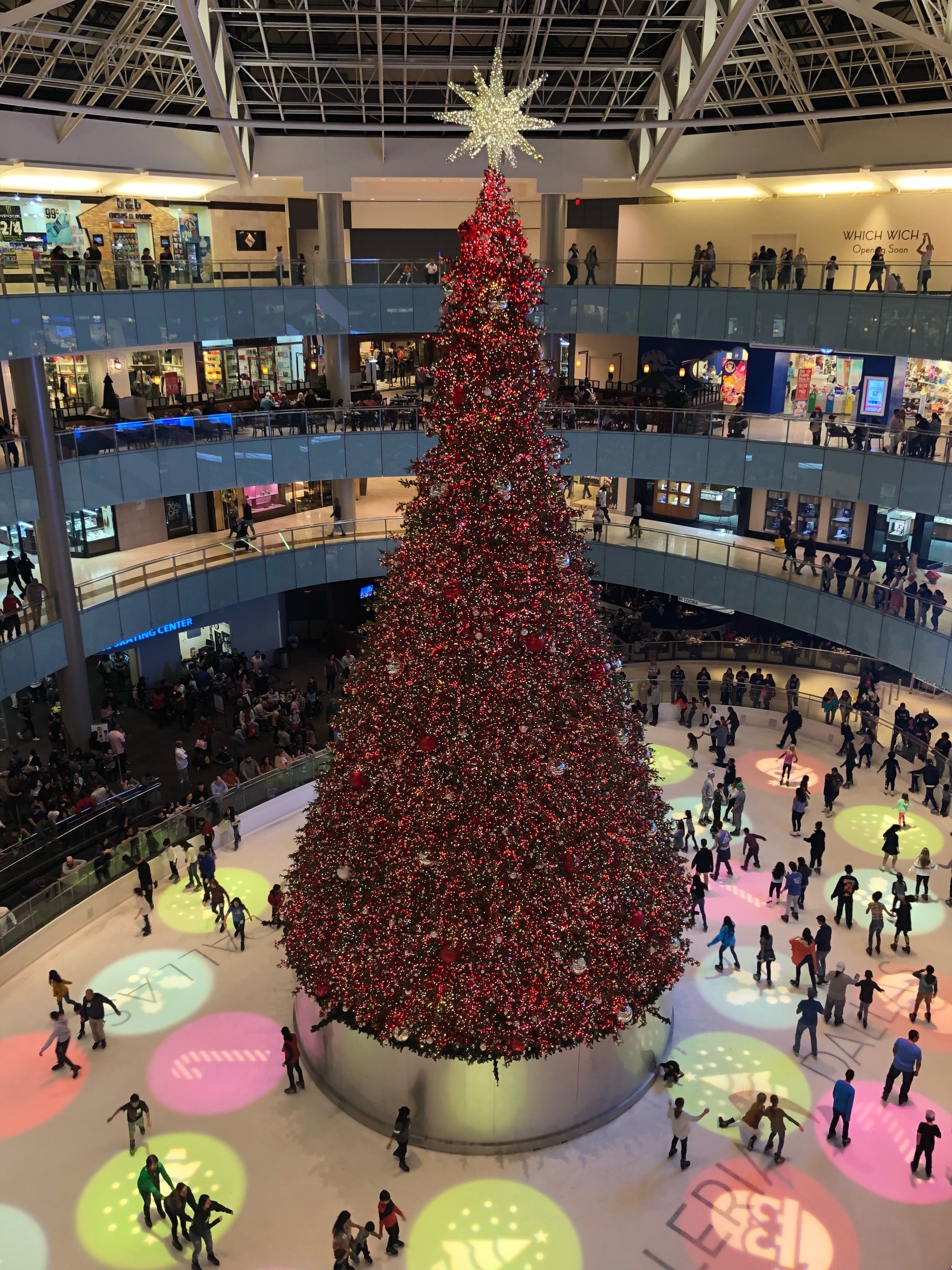 Christmas tree and skating