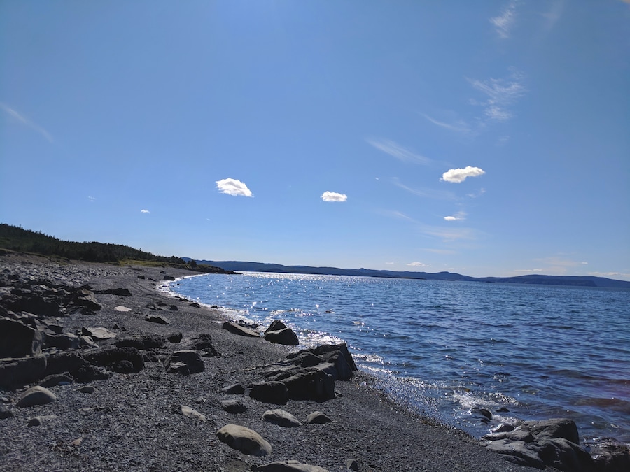 Day trip finds in NL. #staycation #baycation