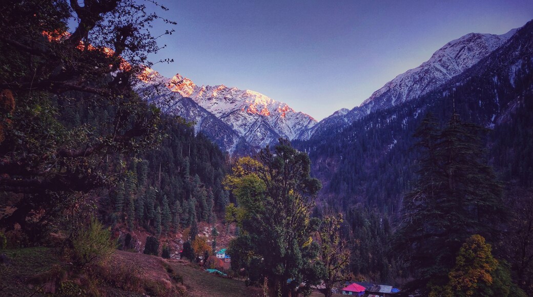 Karsog, Himachal Pradesh, India