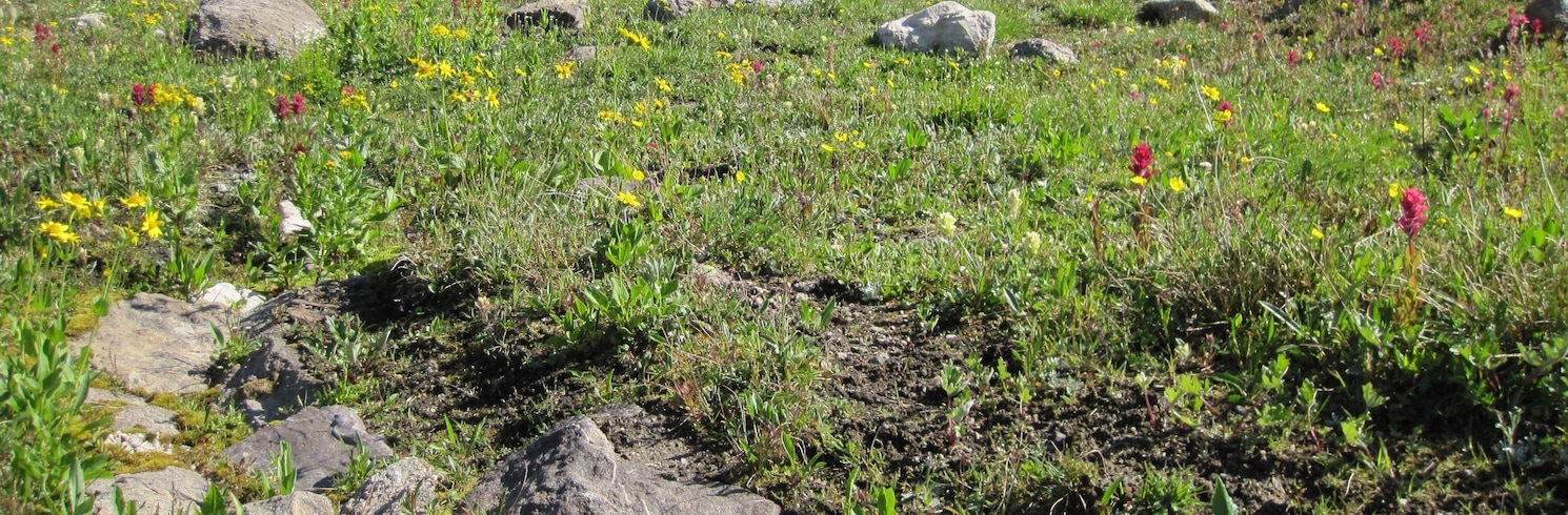 Sunshine, Alberta, Canada